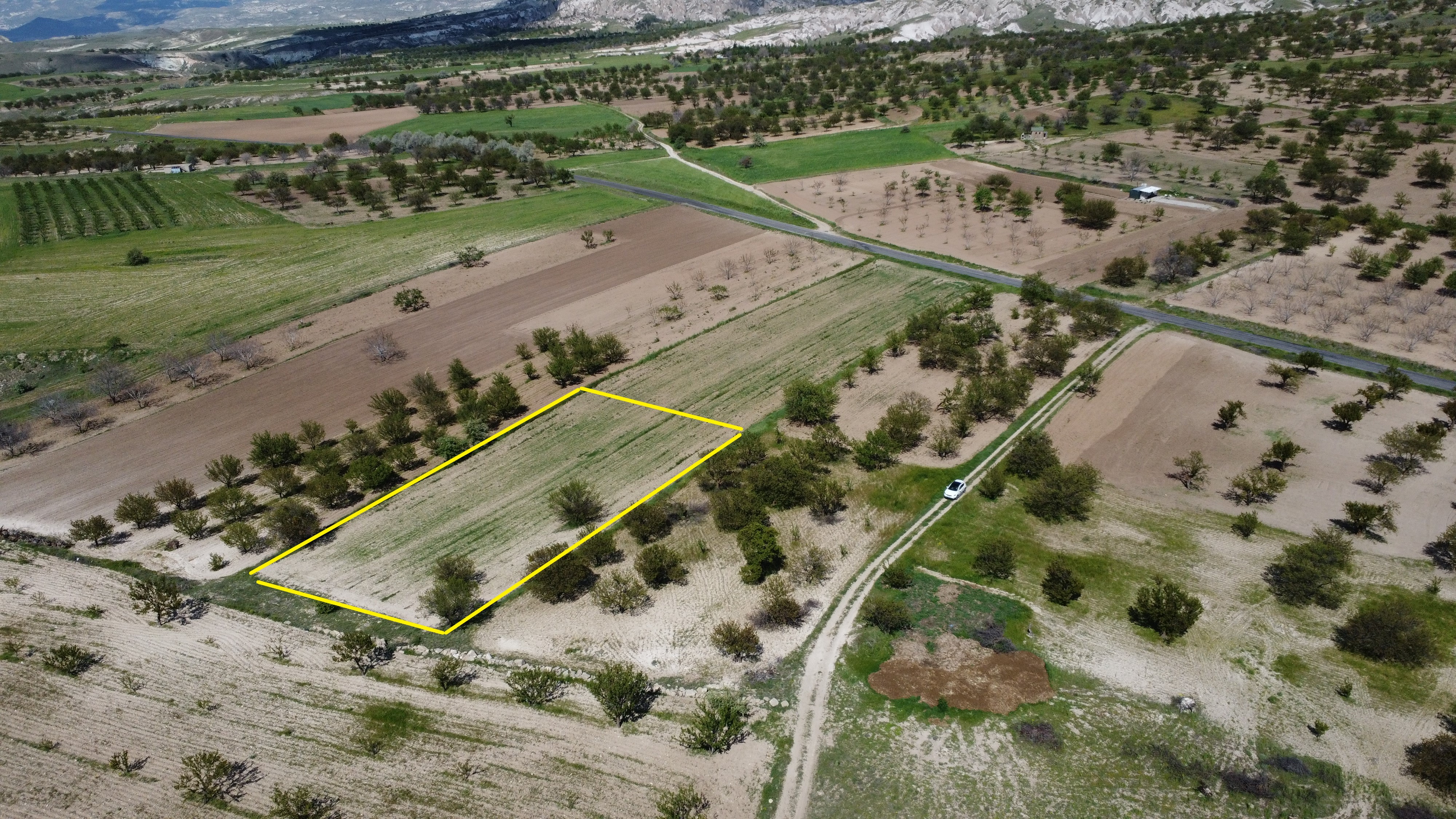 2.325m2 ÜRGüP-AYVALI YOL KENARI MÜKEMMEL GÜZELLİKTE KAYSILIK